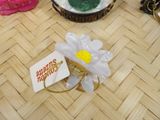 a white flower with a yellow center sitting on a table