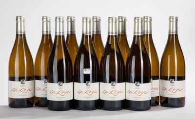 six bouteilles de vin sont alignées sur une surface blanche