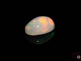 an oplite in the dark with a black background