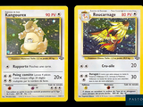 deux cartes Pokémon sur lesquelles figurent un chat et un oiseau
