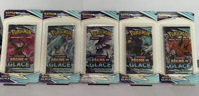 Art Set Pokémon Règne de glace
