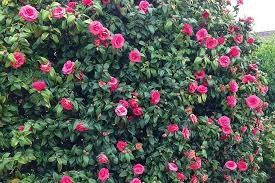 Destockage & Invendus