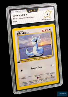 une image d'une carte Pokémon sur laquelle figure un chien