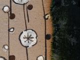 a painting of a bunch of flowers on the wall