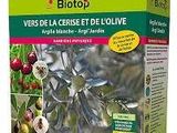 Biotop vers « La Cerise » et « Love »