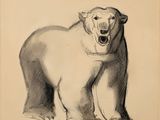 drawing of a polar bear with its mouth open and mouth wide open