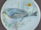 une assiette sur laquelle est peint un oiseau, posée sur une table