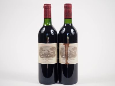 deux bouteilles de vin rouge posées l'une à côté de l'autre sur une surface blanche