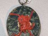 a picture of a necklace with a red bug on it