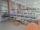 many pairs of shoes on shelves in a shoe store