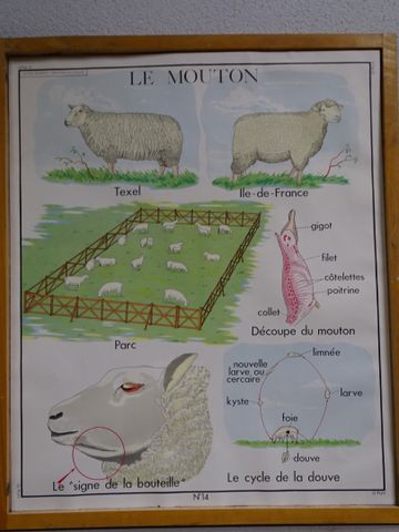 Editions ROSSIGNOL Montmorillon (Vienne) : ensemble de 8 planches...