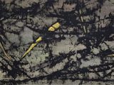 un tableau noir et jaune accroché au mur d'une pièce