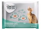 a packet of cat food with a picture of a cat