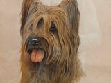 un tableau représentant un chien accroché au mur