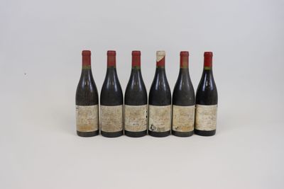 six bouteilles de vin alignées sur une surface blanche