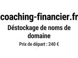 Photo 1/1 du lot