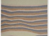 an image of a rug with a wavy design on it