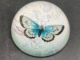 a blue butterfly painted on a white button on a table