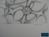 pencil drawing of a tree with a flower in the middle of it