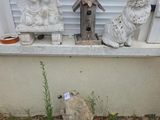 trois statues posées sur le rebord d'une fenêtre