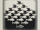 image en noir et blanc représentant un banc de poissons volant au-dessus d'un plan d'eau