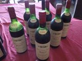 plusieurs bouteilles de vin sont alignées sur une nappe rouge