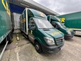 Trois camions de livraison verts sont garés devant un immeuble