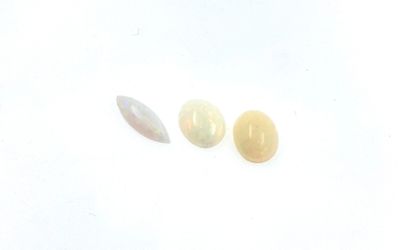 OPALES sur papier. Trois opales, deux ovales taille cabochon…