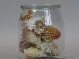 a glass jar filled with dried flowers on a white surface