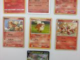 Plusieurs cartes Pokémon sont fixées au réfrigérateur à l'aide d'aimants.