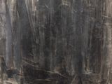 une image représentant une peinture en noir et blanc d'une forêt