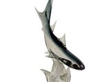 statue représentant un poisson, posée sur un socle transparent, sur fond blanc