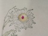 a drawing of a flower that is on a piece of paper