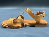 a close up of a pair of sandals on a blue surface