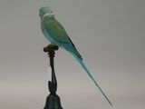 a bird that is sitting on top of a stand