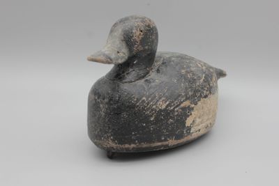 un canard noir et blanc posé sur une surface blanche