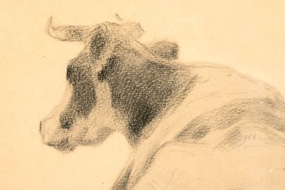 un dessin représentant une vache assise