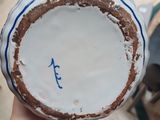 a person holding a plate with a blue and white design