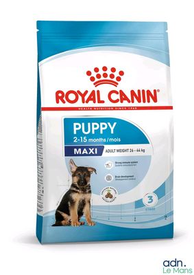 royal canin puppy maxi 2kg