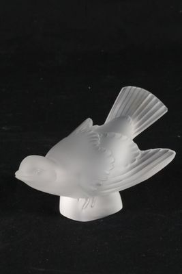 un oiseau blanc perché sur une table