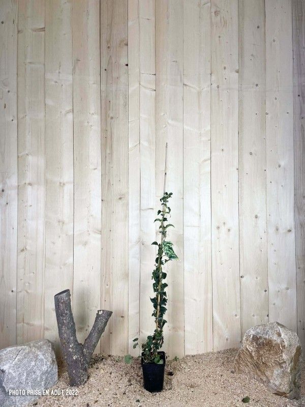 Destockage & Invendus