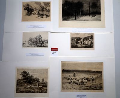 many pictures of animals on display on the wall