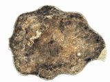 a piece of rock that has been left on the ground