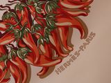 a drawing of a bunch of chili peppers on a table