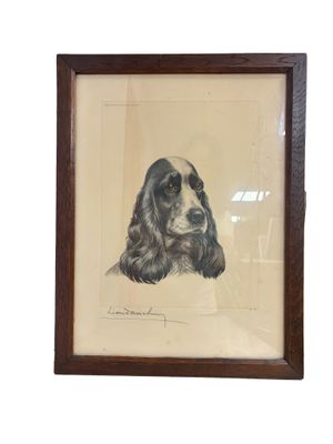 framed drawing of a cocker dog in a wood frame