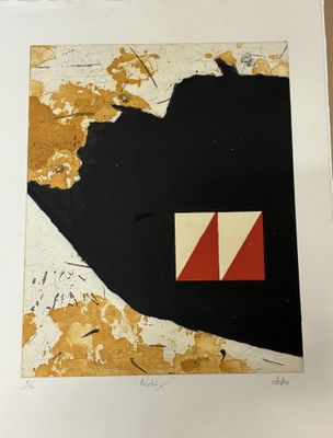 une image représentant une photo d'une œuvre d'art sur laquelle figure un drapeau