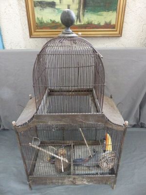 une cage à oiseaux posée sur une table, avec un oiseau à l'intérieur