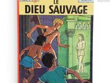 On voit ici la couverture du livre *Dieu sauvage*