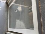 un chien qui regarde par la fenêtre