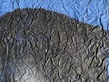 a picture of a piece of blue paper with a black bear on it